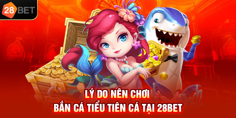Lý do nên chơi bắn cá tiểu tiên cá tại 28bet